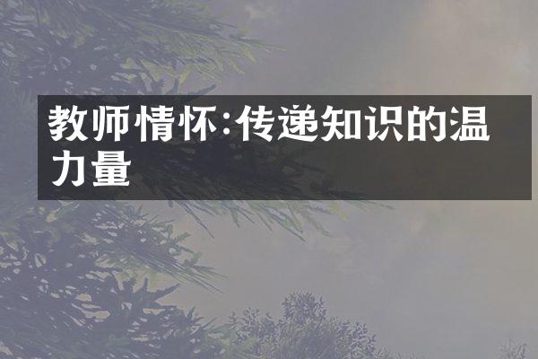 教师情怀:传递知识的温暖力量