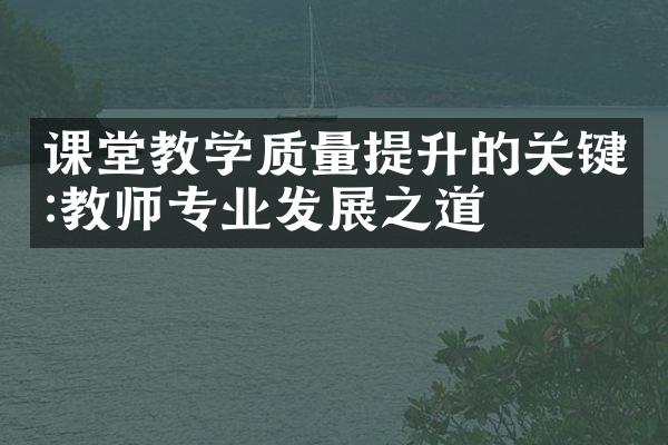 课堂教学质量提升的关键:教师专业发展之道