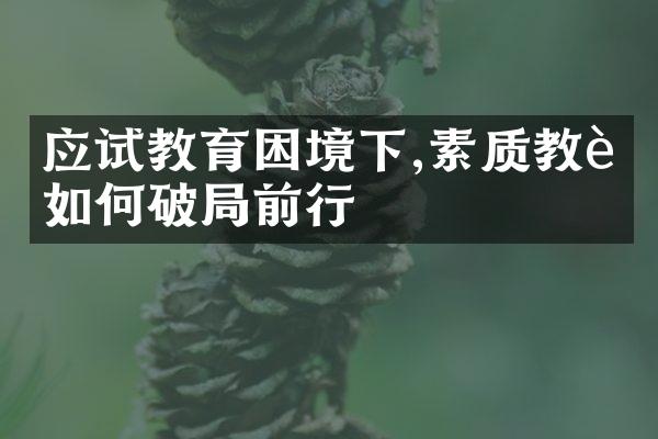 应试教育困境下,素质教育如何破前行