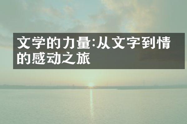 文学的力量:从文字到情怀的感动之旅