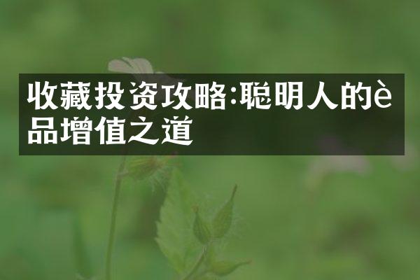 收藏投资攻略:聪明人的藏品增值之道