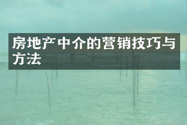 房地产中介的营销技巧与方法