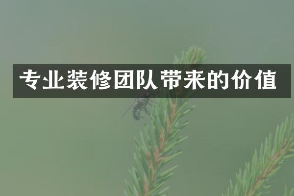 专业装修团队带来的价值