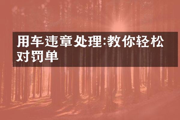 用车违章处理:教你轻松应对罚单