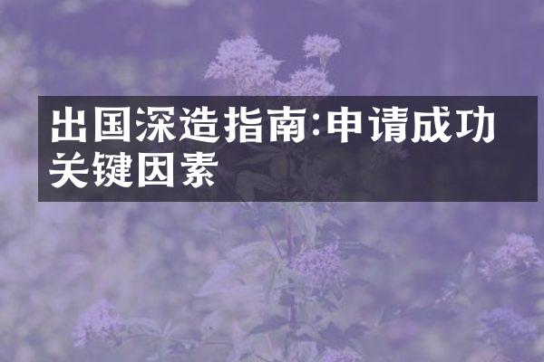 出国深造指南:申请成功的关键因素