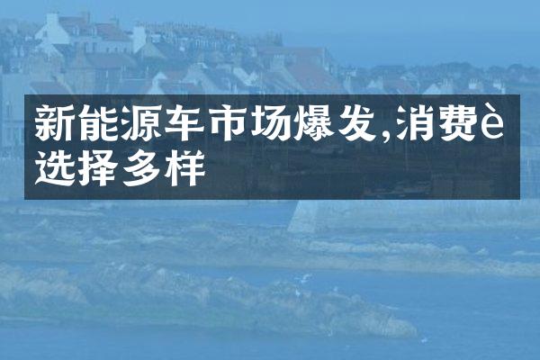 新能源车市场爆发,消费者选择多样