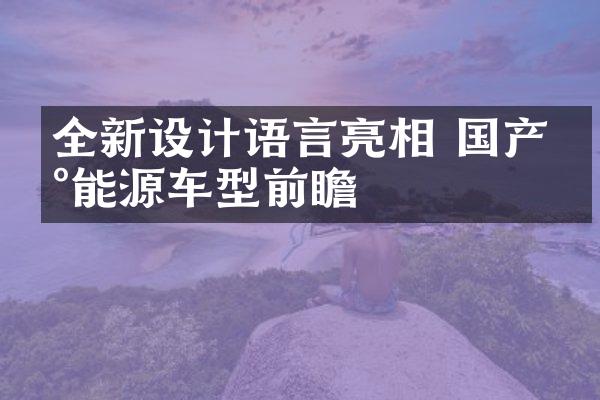 全新设计语言亮相 国产新能源车型前瞻