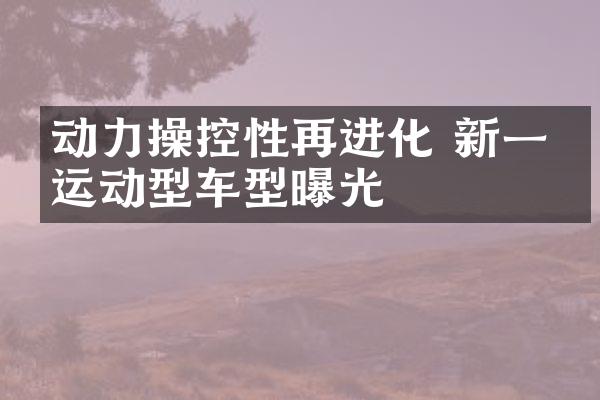 动力操控性再进化 新一代运动型车型曝光