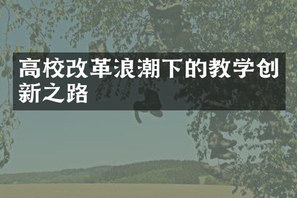 高校改革浪潮下的教学创新之路