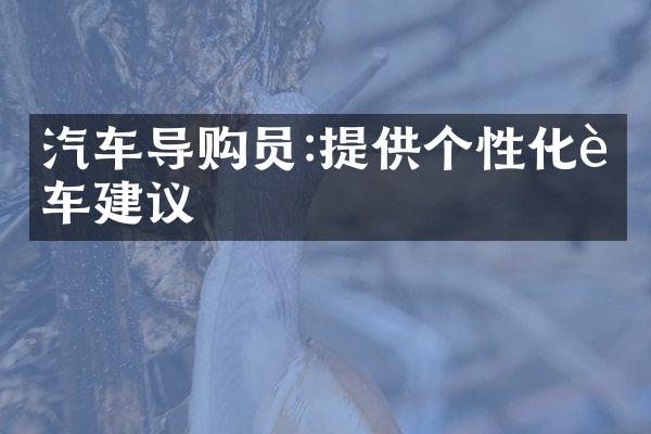 汽车导购员:提供个性化购车建议