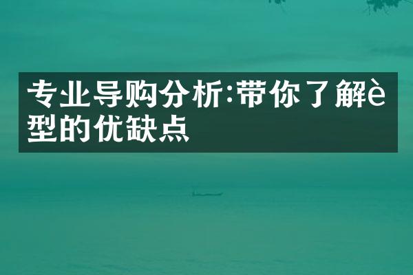 专业导购分析:带你了解车型的优缺点