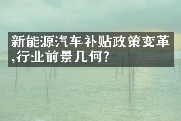 新能源汽车补贴政策变革,行业前景几何?