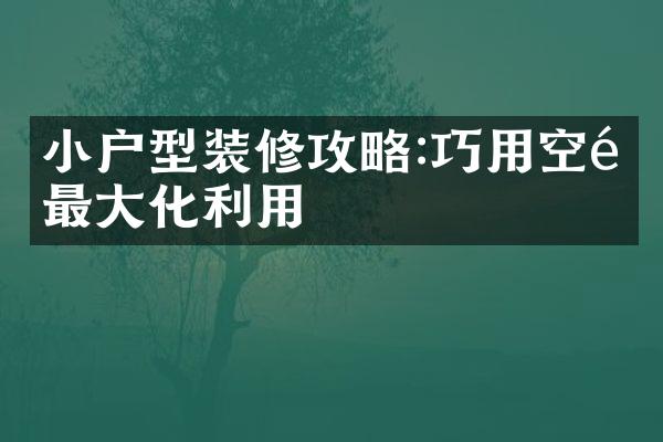 小户型装修攻略:巧用空间最大化利用