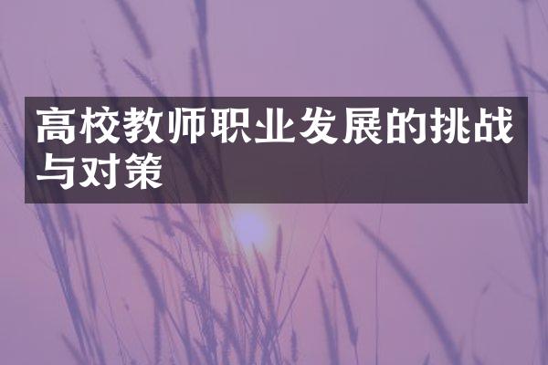 高校教师职业发展的挑战与对策