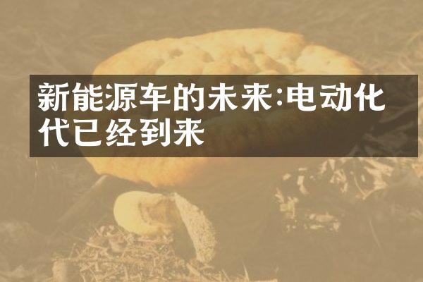 新能源车的未来:电动化时代已经到来