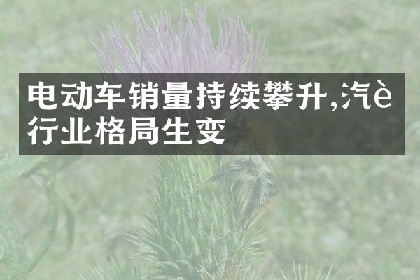 电动车销量持续攀升,汽车行业格生变