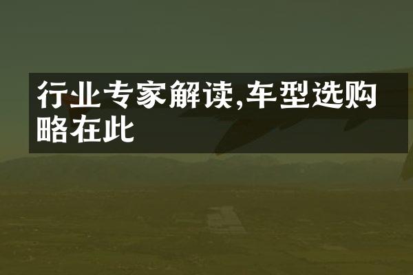 行业专家解读,车型选购攻略在此