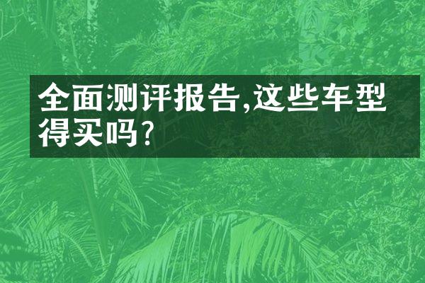 全面测评报告,这些车型值得买吗?