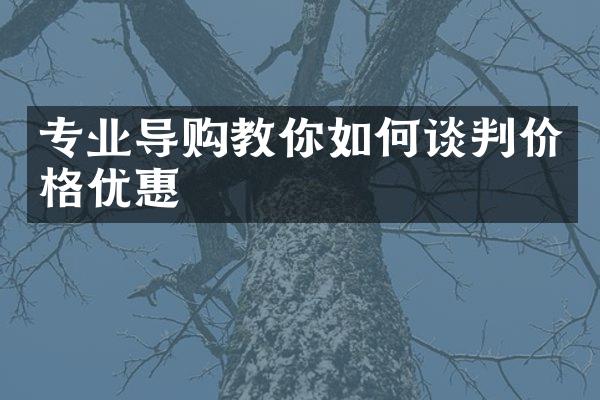 专业导购教你如何谈判价格优惠