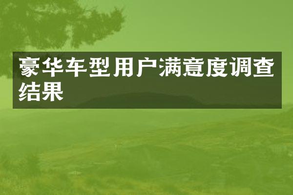 豪华车型用户满意度调查结果