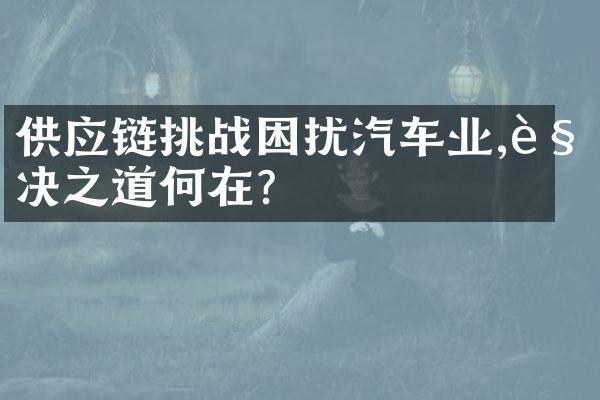 供应链挑战困扰汽车业,解决之道何在?