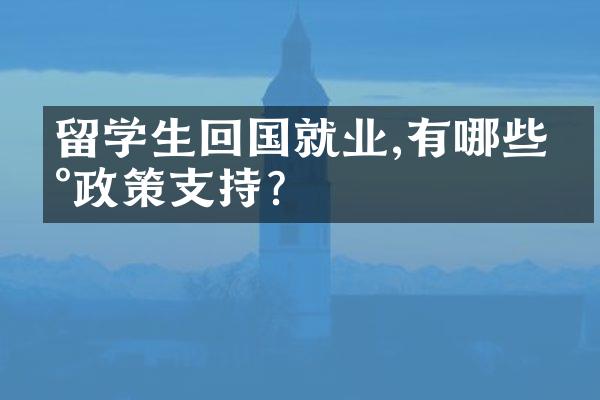 留学生回国就业,有哪些新政策支持?