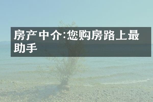 房产中介:您购房路上最佳助手