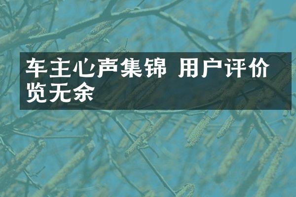 车主心声集锦 用户评价一览无余