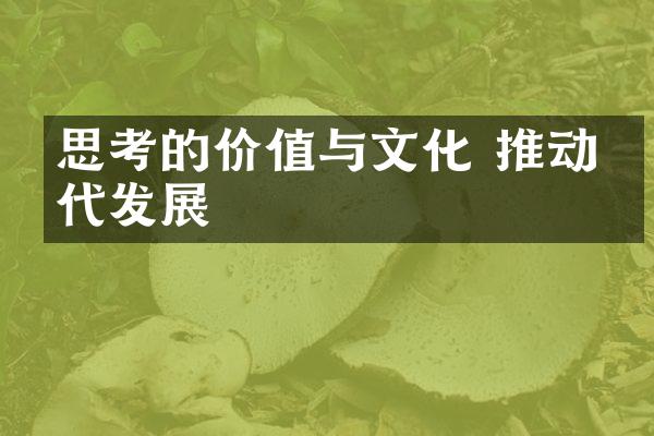 思考的价值与文化 推动时代发展