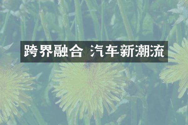 跨界融合 汽车新潮流