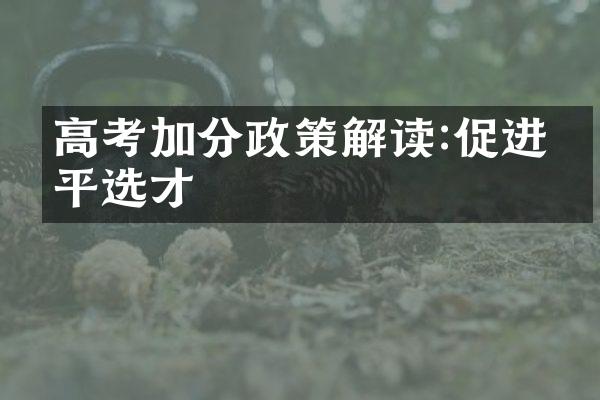 高考加分政策解读:促进公平选才