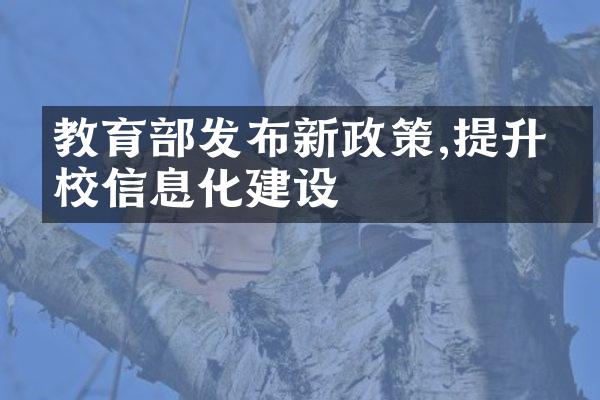 教育部发布新政策,提升学校信息化建设