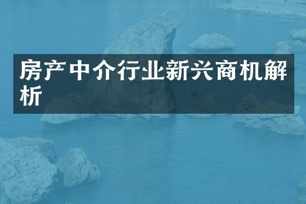 房产中介行业新兴商机解析