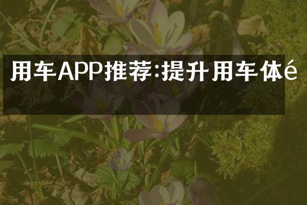 用车APP推荐:提升用车体验