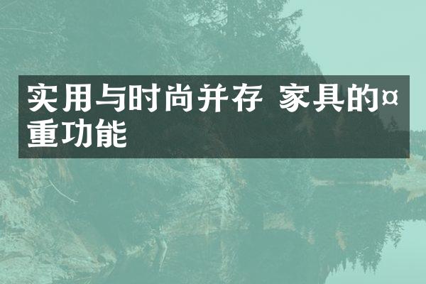 实用与时尚并存 家具的多重功能