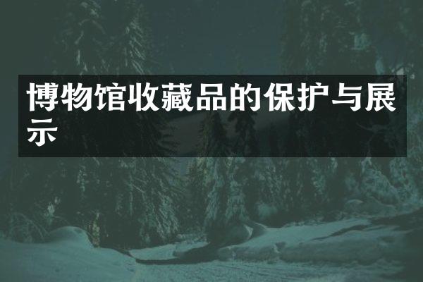 博物馆收藏品的保护与展示