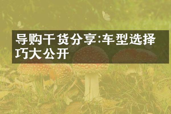 导购干货分享:车型选择技巧公开