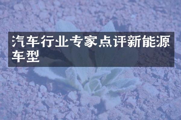 汽车行业专家点评新能源车型