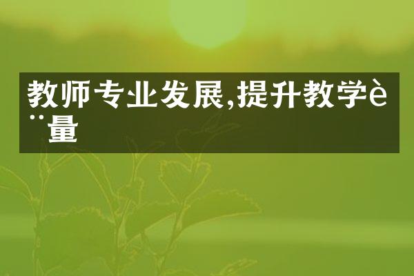 教师专业发展,提升教学质量