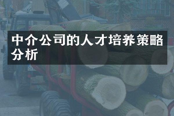 中介公司的人才培养策略分析