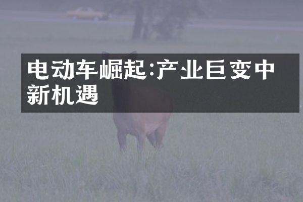 电动车崛起:产业巨变中的新机遇