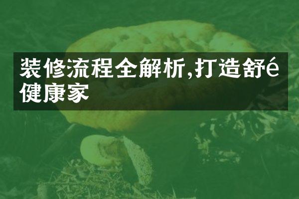 装修流程全解析,打造舒适健康家