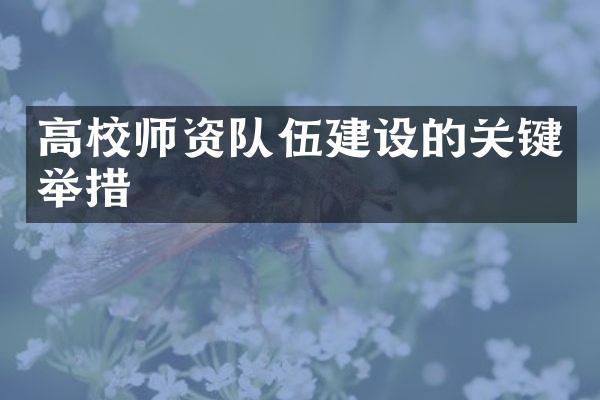 高校师资队伍建设的关键举措