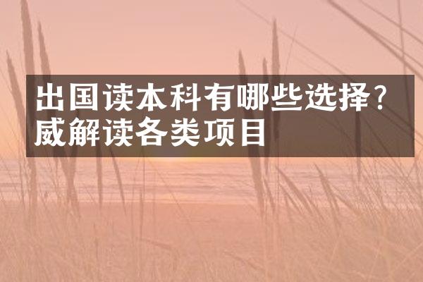 出国读本科有哪些选择?权威解读各类项目