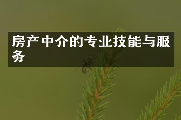 房产中介的专业技能与服务