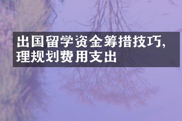 出国留学资金筹措技巧,合理规划费用支出