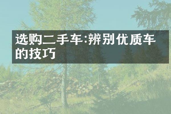 选购二手车:辨别优质车型的技巧