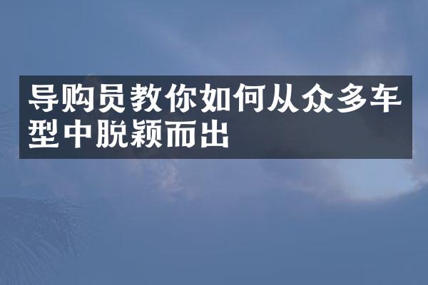 导购员教你如何从众多车型中脱颖而出