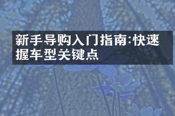 新手导购入门指南:快速掌握车型关键点