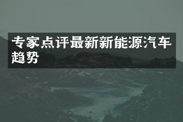 专家点评最新新能源汽车趋势